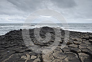 Close-up of hexagonal basalt columns at Giant\'s Causeway, Ireland photo