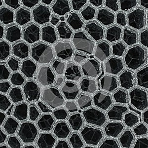 Close-up of a hexagonal mesh pattern, resembling a honeycomb structure. The