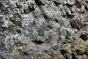 Close up high resolution surface of concrete and cement walls in germany