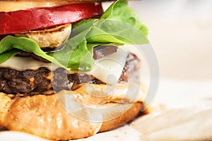 Close-up Home classic burger on eco paper Close-up