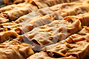 Close up of homemade, delicious filo pastry dessert, tikvenik, filled with pumpkin, walnuts, cinnamon and sugar. Traditional