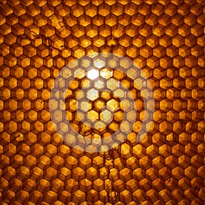 Close-up of a honeycomb structure, displaying an intricate pattern of hexagonal wax