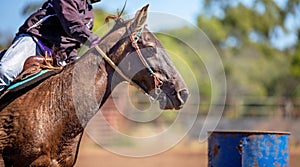 Close Up Of Horse Competing In Barrel Racing At Outback Country Rodeo