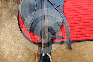 Close up of a horse harness