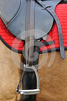 Close up of a horse harness