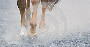 Close-up of horse hooves walking on sandy ground