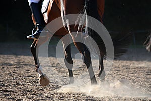 Close up of horse legs running