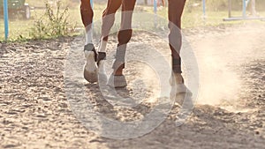 Close-up of a horse`s hoof in the dust at sunset.