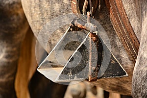 Close up of a horse stirrup