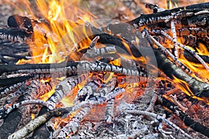 Close up of hot burning fire wood coal