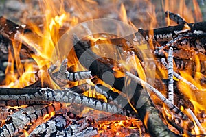 Close up of hot burning fire wood coal