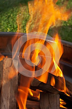 Close up hot fire flame burning. Tongues of flame on a black background