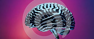 Close-up human brain against vibrant colored background, intricate textures brains anatomy