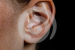 Close-up of a human ear. photo