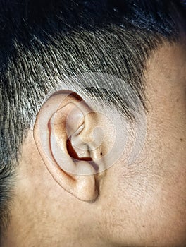 Close-up of a Human Ear and Side Profile