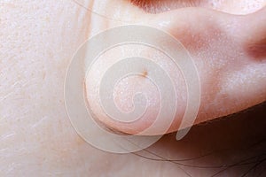 A close-up of the human earlobe. Macro photo of a pierced ear in a woman