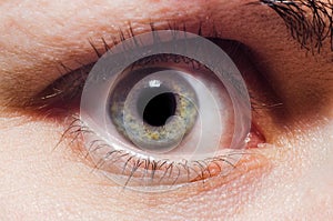 Close up human extreme macro eye with natural eyelash