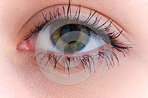 Close up of the human eye