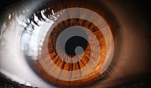 Close-up human eye, lens, cornea and brown iris.