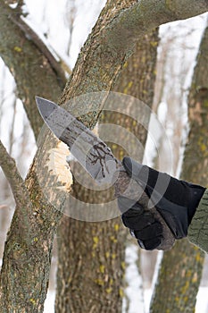 Close up of the human hand in black glove holding tactic knife cutting a wooden stick in winter. Hand holding knife