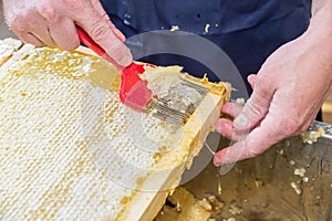 Close up of human hand extracting honey from honeycomb