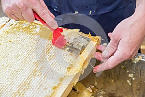Close up of human hand extracting honey from honeycomb photo