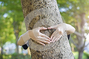 Close up human hand is hugging the tree