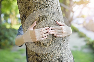 Close up human hand is hugging the tree