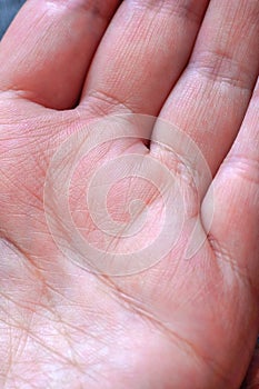 Close - up of human hand, the value of lines on the palm of texture, female hand