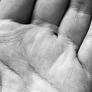 Close - up of human hand, the value of lines on the palm of texture, female hand