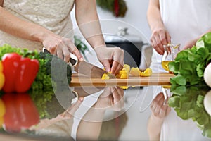 Close-up of human hands cooking in a kitchen. Friends having fun while preparing fresh salad. Vegetarian, healthy me