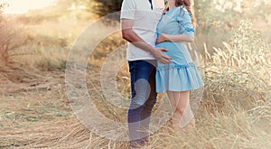 Close up of human hands holding pregnant belly, closeup happy family awaiting baby, standing on green grass, body part, young fami