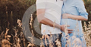 Close up of human hands holding pregnant belly, closeup happy family awaiting baby, standing on green grass, body part, young fami