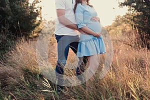 Close up of human hands holding pregnant belly, closeup happy family awaiting baby, standing on green grass, body part, young fami