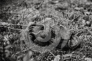 Close up on human soe in forest. murderer or pollution theme, bl