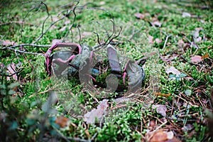 Close up on human soe in forest. murderer or pollution theme