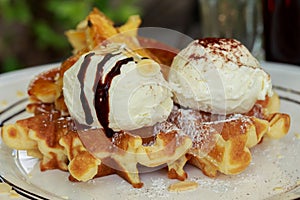 Close up of ice cream and waffle.