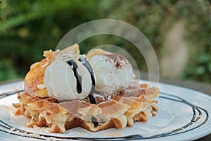 Close up of ice cream and waffle.