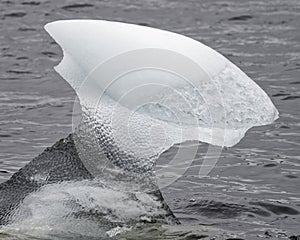 Close-up of an iceberg