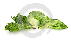 Close-up iceberg lettuce cabbage with big green salad leaves isolated on white background