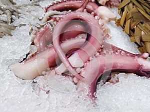 Close-up of Iced Octopus