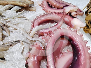 Close-up of Iced Octopus