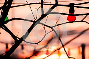 Close-up of illuminated light bulbs hanging at night