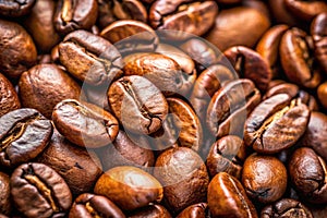 Coffee beans. Close up of the aromatic coffee beans
