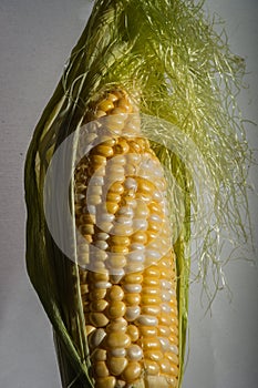 Mais - Corn on the cob