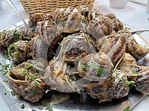 Close up image of Cretan Snails