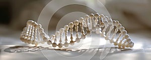 A close up image of a DNA double helix