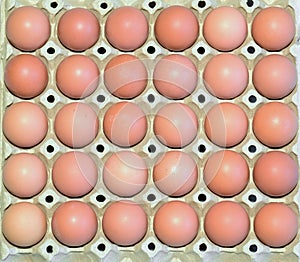 Close up image of egg that packed in paper egg carton