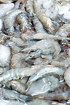 Close up image of Fresh shrimp