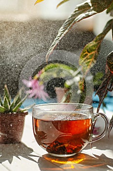 Close-up image of glass cup of tea, red strawberries, flowers in pots on light wooden background.